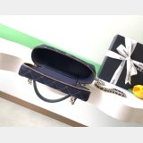 Best 1:1 AP4386 Hobo / AP4385 Vanity / AS1116 Mini CF / AP4986 Clutch Bag